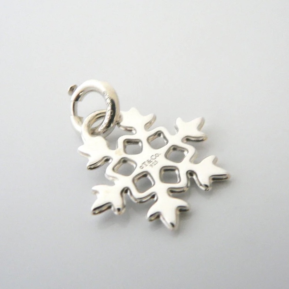 HP 🎉 Tiffany & Co. Silver Snowflake Charm Circle Clasp